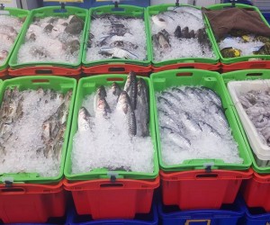 Wholefish Selection
