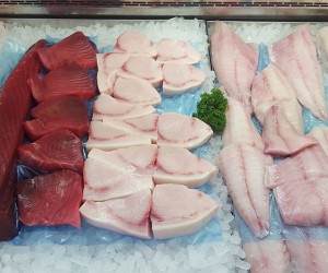 Tuna & Swordfish Steaks
